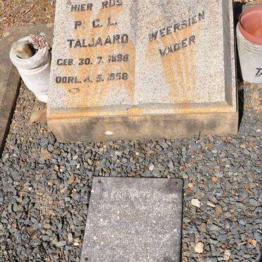 TALJAARD P.G.L. 1888-1958 :: ? Phillipus 