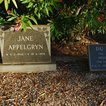 TOIT Hester S.J., du nee VAN NIEKERK 1906-1982 :: APPELGRYN Jane 1942-1976