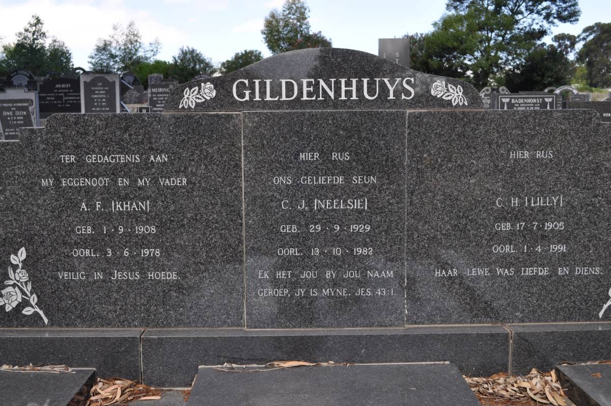 GILDENHUYS A.F. 1908-1978 &amp; C.H. 1905-1991 :: GILDENHUYS C.J. 1929-1982