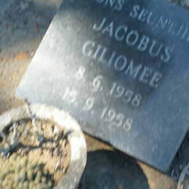 GILIOMEE Jacobus 1958-1958