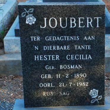 JOUBERT Hester Cecilia nee BOSMAN 1890-1982