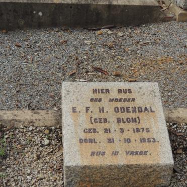 ODENDAL E.F.H. nee BLOM 1875-1953