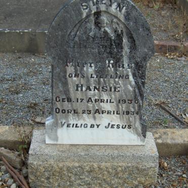 STEYN Hansie 1930-1934