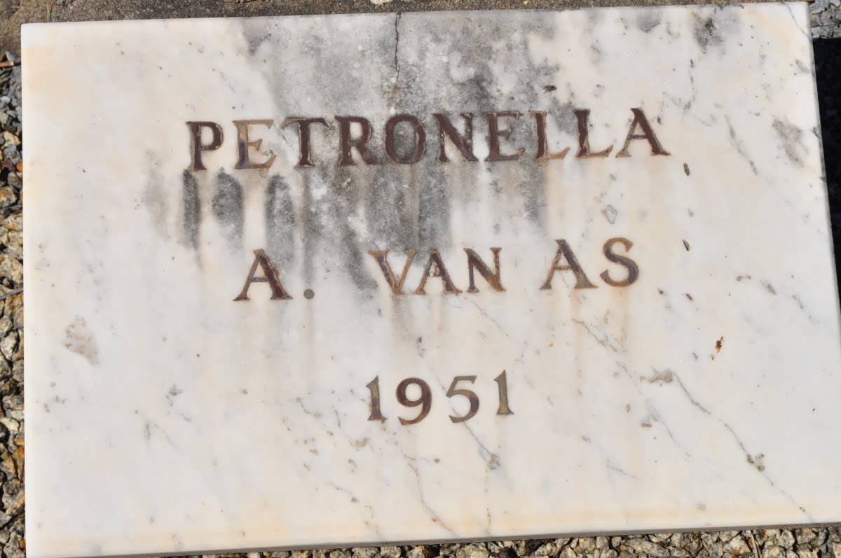 AS Petronella A., van 1951-1951