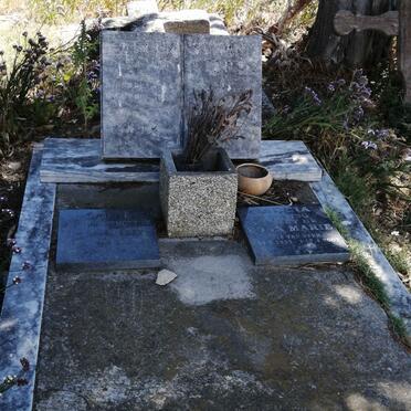 STER Ellen Susan, van 1906-1980 :: SMITH Hilda Doreen nee VAN STER 1939-2002 :: GARCIA Edna Marie nee VAN STER 1933-200?