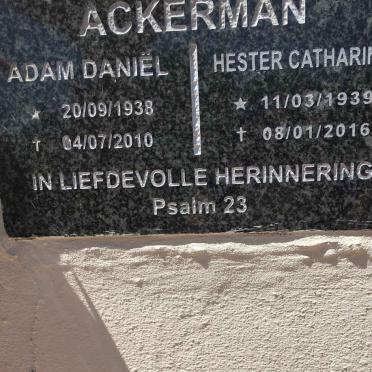 A - Surnames :: Vanne - A