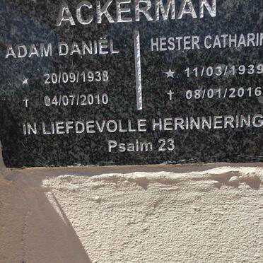 A - Surnames :: Vanne - A