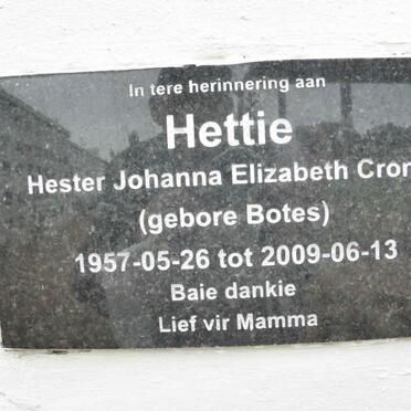 CRONJE Hester Johanna Elizabeth nee BOTES 1957-2009
