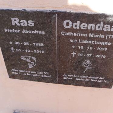 ODENDAAL Catherina Maria nee LABUSCHAGNE 1939-2019 :: RAS Pieter Jacobus 1985-2018