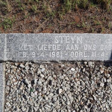 STEYN 1981-1981