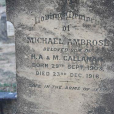 CALLANAN Michael Ambrose 1903-1916
