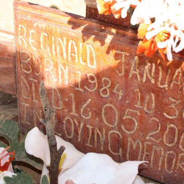 JANUARIE Reginald 1984-2009