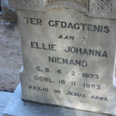 N - Vanne :: Surnames - N