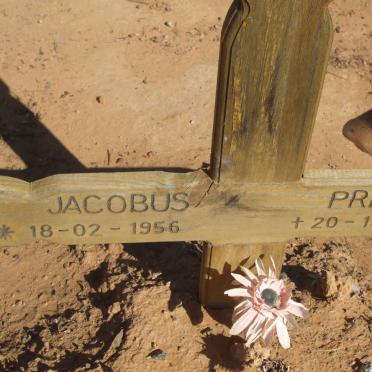 PRINS Jacobus 1956-2006