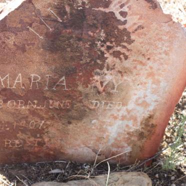 VYVER Maria ?