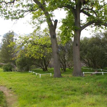 3. Overview