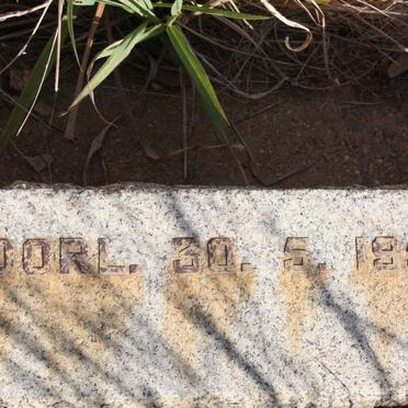 STEENKAMP F.P. -1951