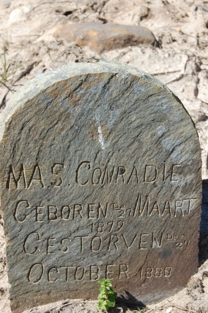 CONRADIE M.A.S. 1879-1888