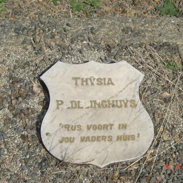 REDELINGHUYS Thysia