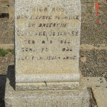 TOIT Guilliame Johannes, du 1950-1950