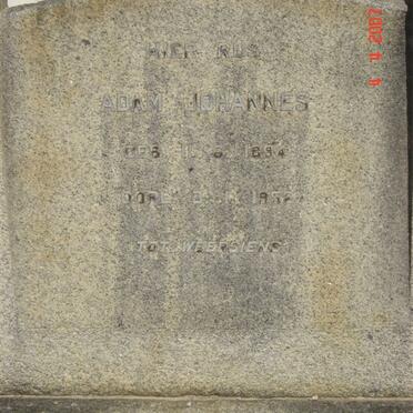 TOIT Adam Johannes, du 1894-1952