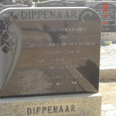 DIPPENAAR Margaretha W. nee COETZEE 1909-1950