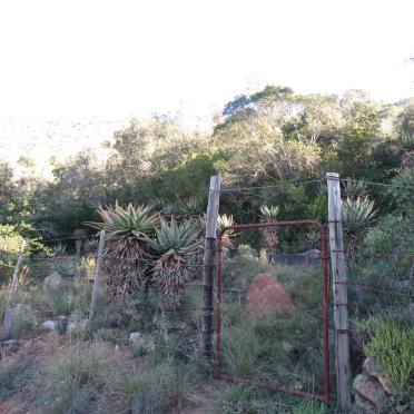 Western Cape, UNIONDALE district, Klein Plaasie 259, Die Vlug, farm cemetery