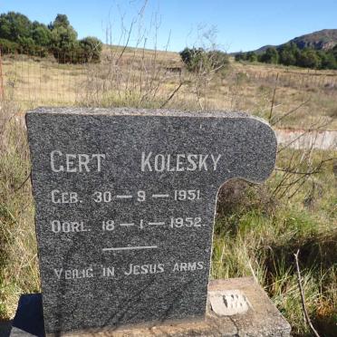 KOLESKY Gert 1951-1952