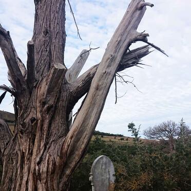 6. Oorsig / Overview