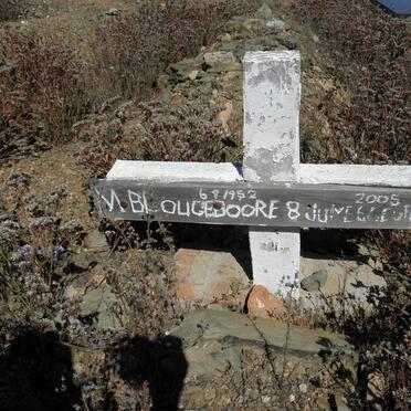 BLOUGEBOORE M. 1952-2005