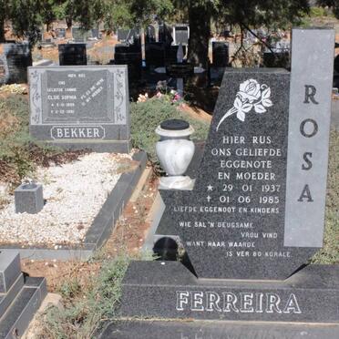 FERREIRA Rosa 1937-1985