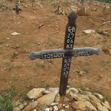 LEEUW Goswon 1983-2013