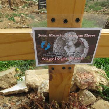 MEYER Ivan Monrica Damons 2023-2023