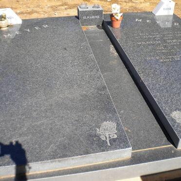 MEYER Wilhelm Strump 1920-1998