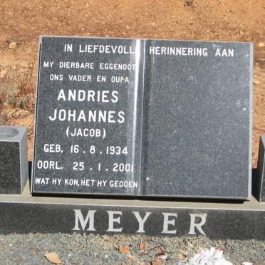 MEYER Andries Johannes 1934-2001