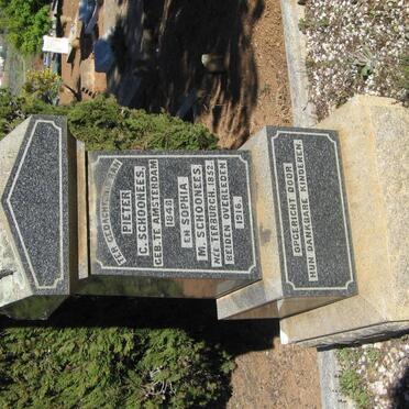 SCHOONEES Pieter G. 1848-1916 &amp; Sophia M. TERBURGH 1856-1916