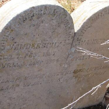 SPUY ?, van der :: van der SPUY ? :: van der SPUY ?