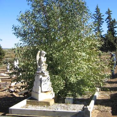 TOIT Andries Jacobus, du 1870-1943