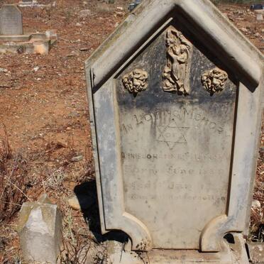 WILDEMAN Annie Johanna 1859-19??