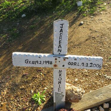 N - Vanne :: Surnames - N