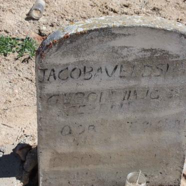 VELDSMAN Jacoba 