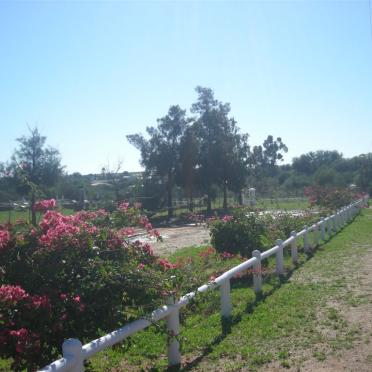2. Overview