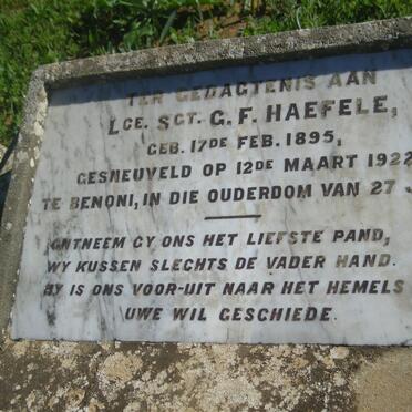 HAEFELE G.F. 1895-1922
