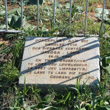 LOUW Jacoba :: LOUW boy :: LOUW boy