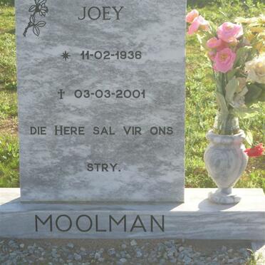 MOOLMAN Joey 1936-2001
