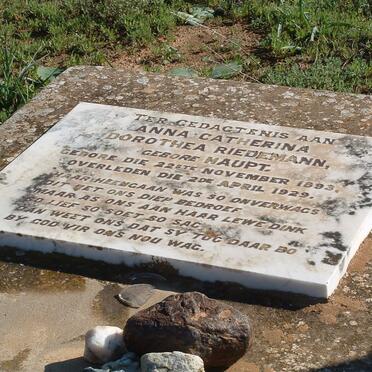 RIEDEMANN Anna Catherina Dorothea nee HAUPT 1893-1929