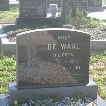 WAAL Rosy, de nee PLICHTA 1903-1981