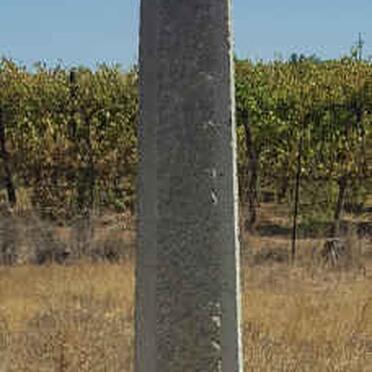 NIEUWOUDT Hermias Cornelius 1882-1948