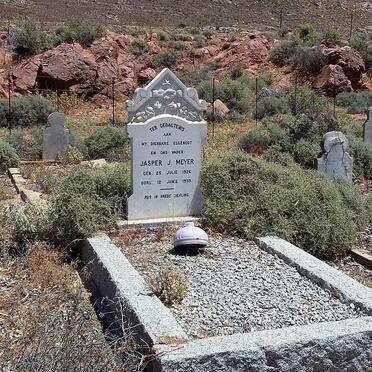 MEYER Jasper J. 1926-1959