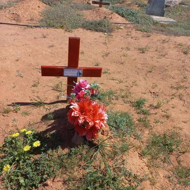 WATT Katrina 1953-2021